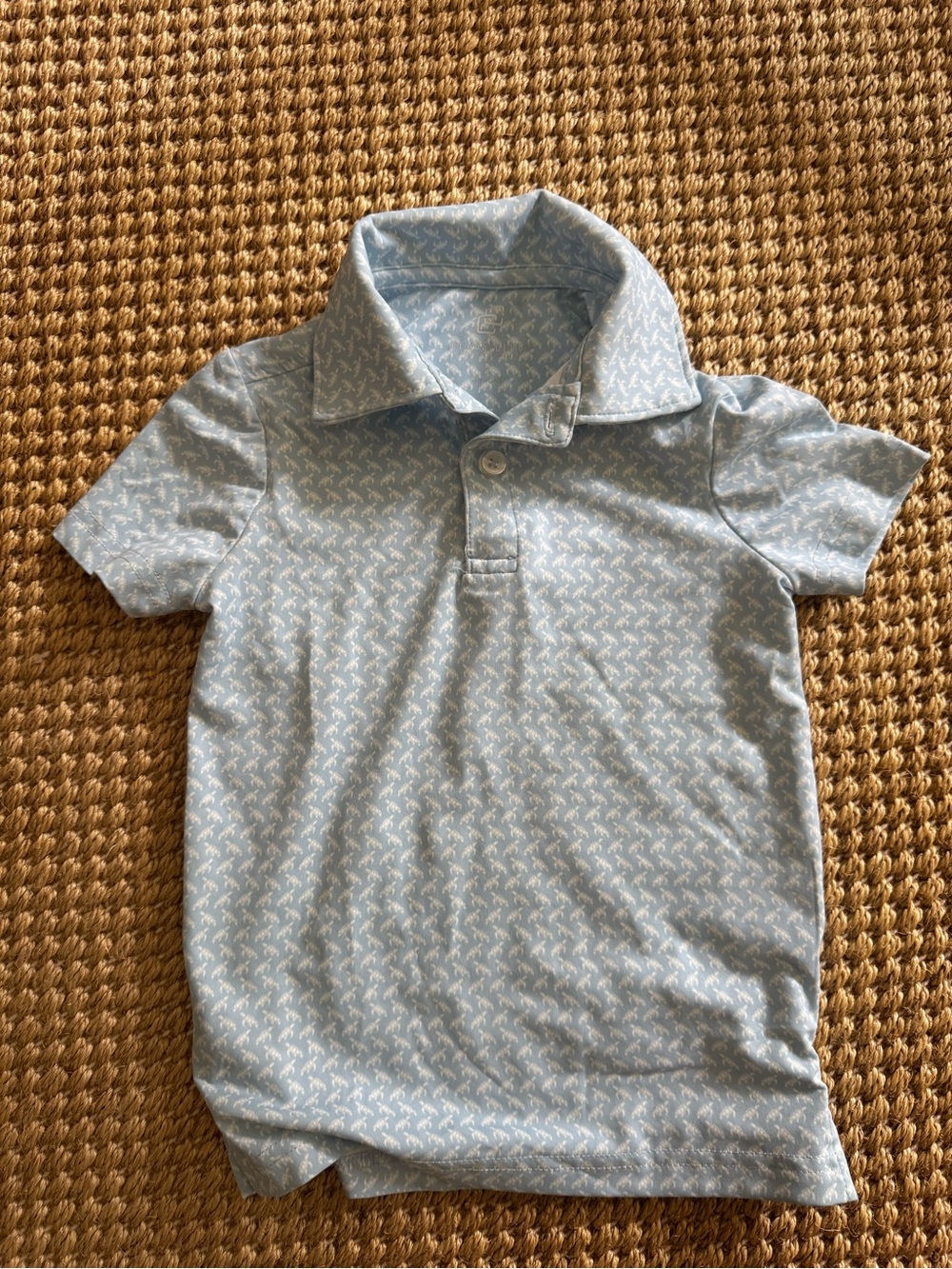 Light Blue turtle Patterned Polo Shirt for Kids